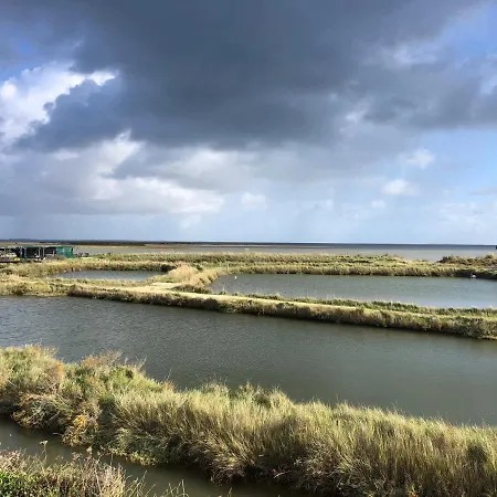 Dom wakacyjny Coti Quiet Saint-Pierre-d'Oleron