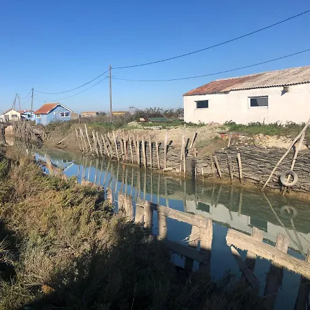 Coti Quiet Saint-Pierre-d'Oleron